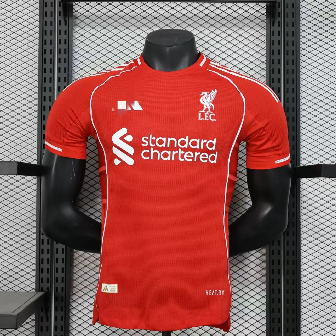 New Red Bird Player version 25-26